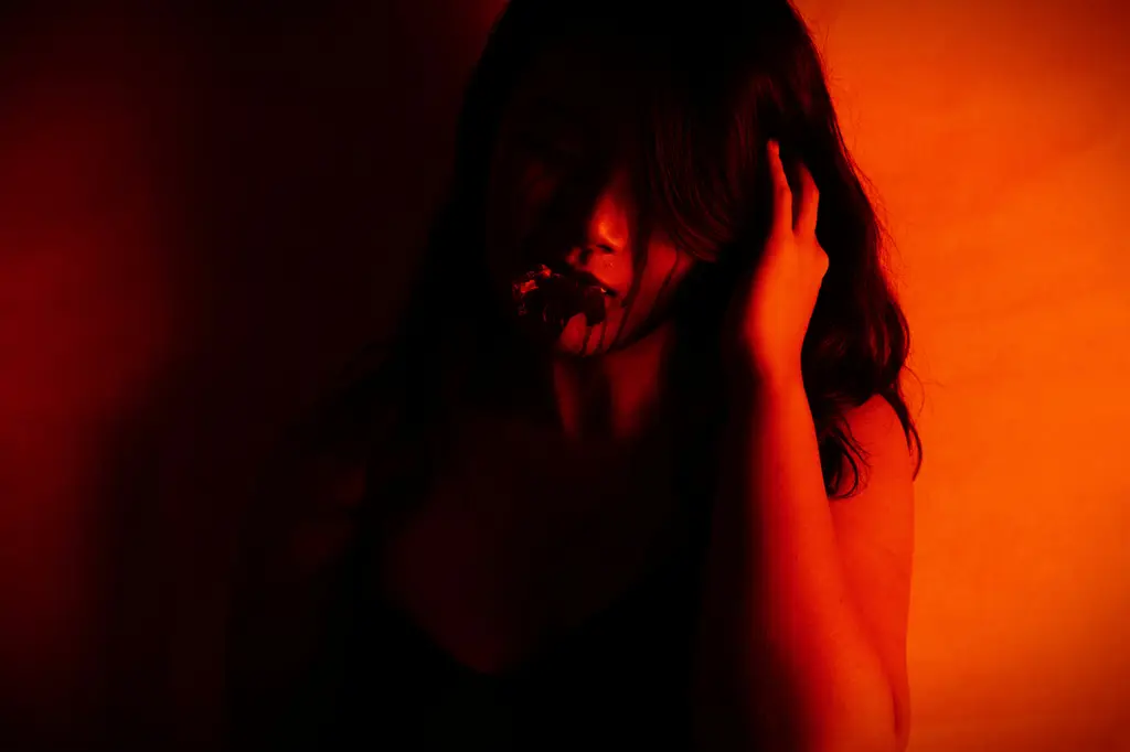 JJAPN5試題解析：輕鬆掌握JLPT基礎